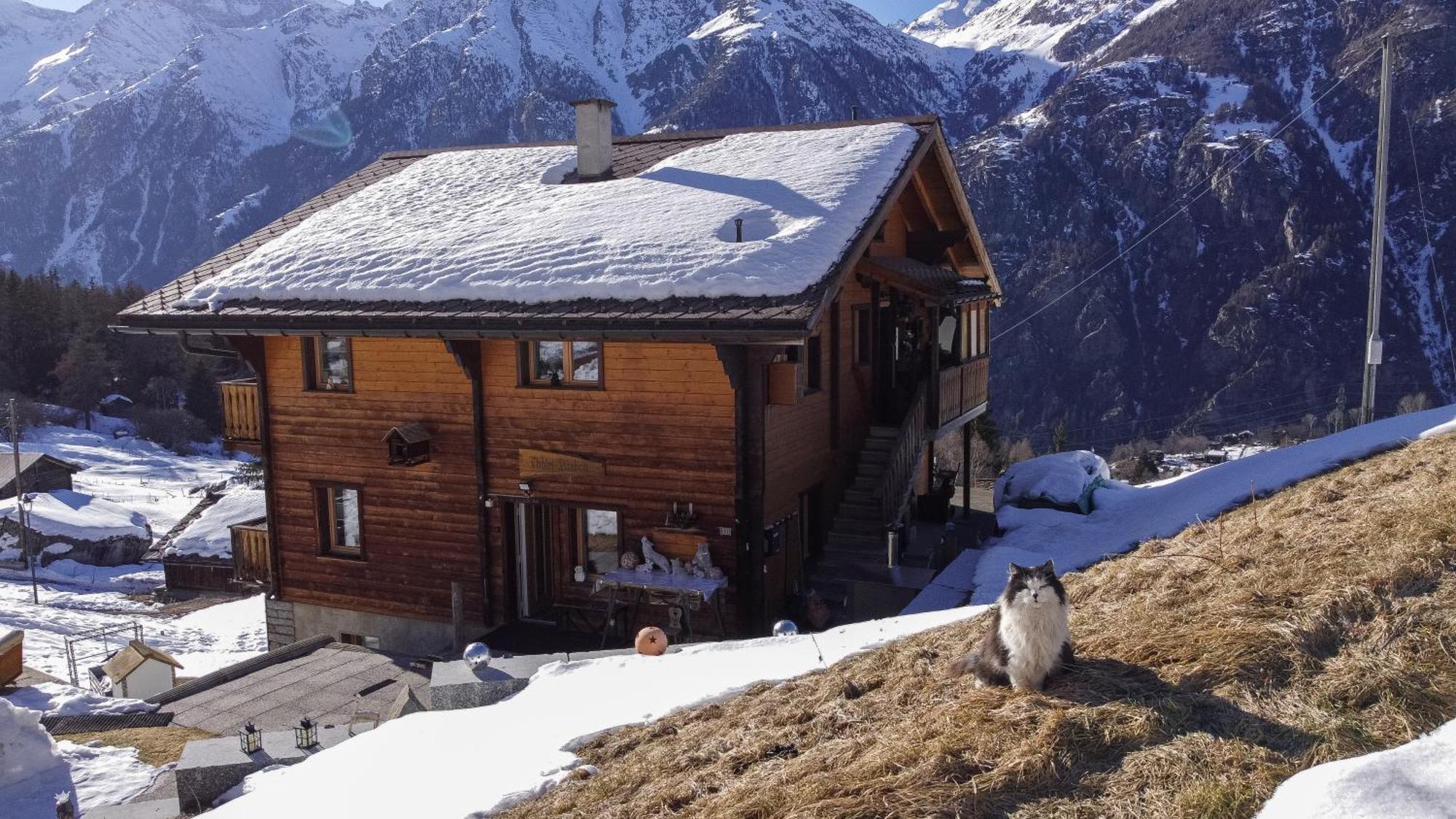 Ferienwohnung Riebe 331 Grächen Exterior foto